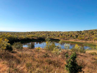 58-ha-cerca-de-valencia-de-alcantara4