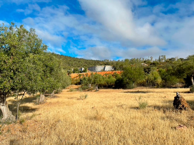 finca-con-sierra-en-quintana-de-la-serena6