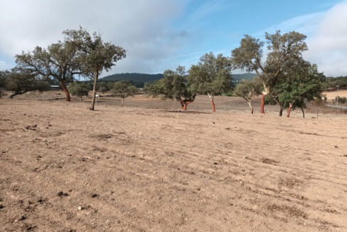 oportunidad-de-finca-en-la-codosera1