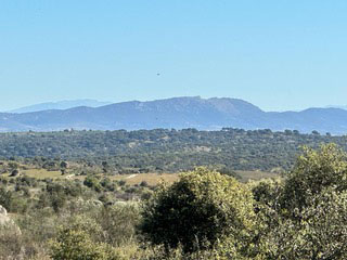 finca-de-250-hectáreas-en-la-provincia-de-cáceres01