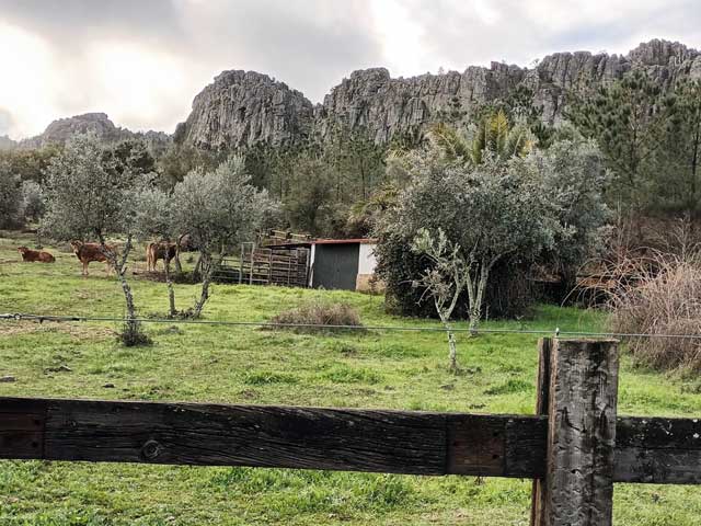 Magnífica-finca-de-3-hectáreas-en-San-Vicente-de-Alcántara03