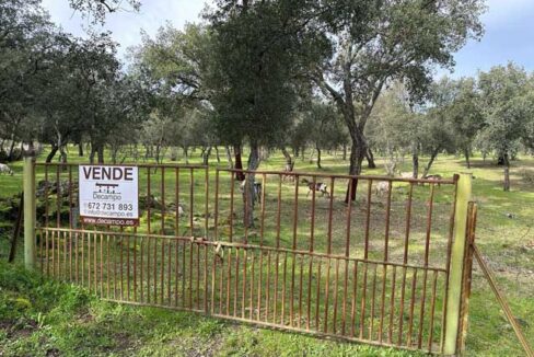 buena-finca-de-5-hectareas-en-san-vicente-de-alcantara02