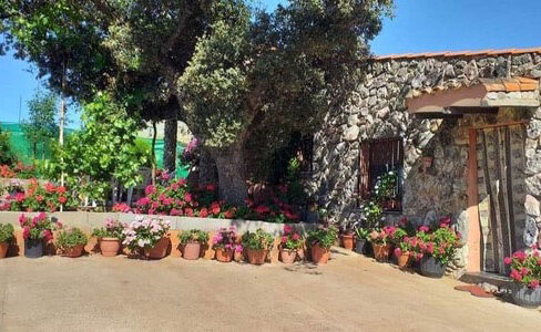 finca-rústica-en-cabañas-del-castillo01