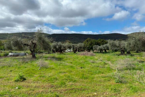 Finca-con-vivienda-en-Alcorneo04