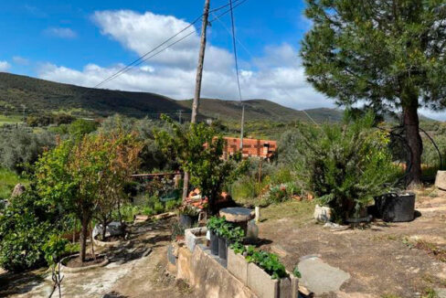 Finca-con-vivienda-en-Alcorneo06