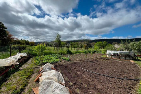 Finca-con-vivienda-en-Alcorneo07