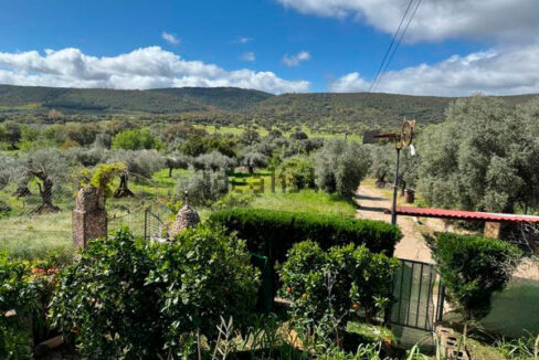 Finca-con-vivienda-en-Alcorneo08