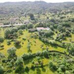 Magnífica-finca-con-posibilidad-de-construcción-en-valencia-de-alcántara03