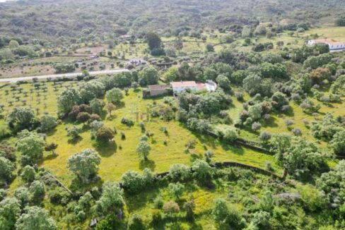 Magnífica-finca-con-posibilidad-de-construcción-en-valencia-de-alcántara03