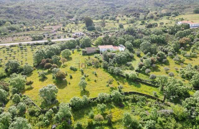 Magnífica-finca-con-posibilidad-de-construcción-en-valencia-de-alcántara03