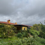 finca-con-casa-y-olivar-en-la-codosera01