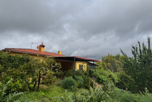 finca-con-casa-y-olivar-en-la-codosera01