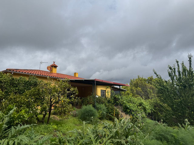 finca-con-casa-y-olivar-en-la-codosera01