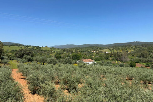 finca-con-casa-y-olivar-en-la-codosera12