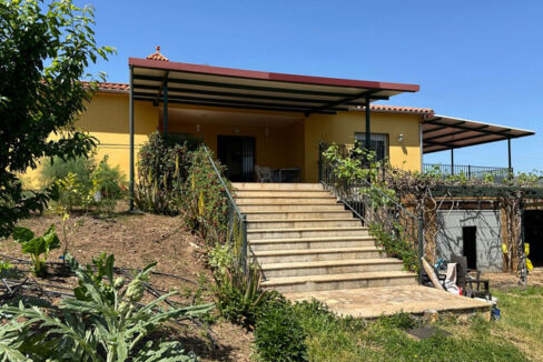 finca-con-casa-y-olivar-en-la-codosera13