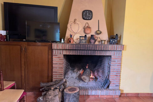 finca-con-casa-y-olivar-en-la-codosera17