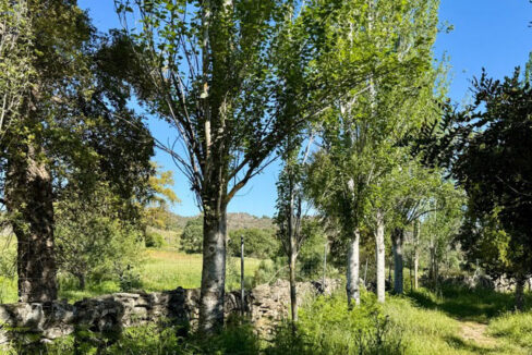 magnifica-finca-de-6-hectareas-en-valencia-de-alcantara20