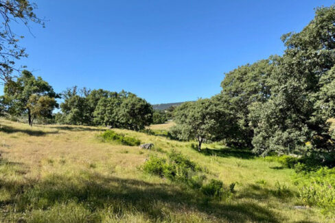magnifica-finca-de-6-hectareas-en-valencia-de-alcantara22