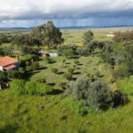 Oportunidad-única-junto-a-San-Vicente-de-Alcántara01