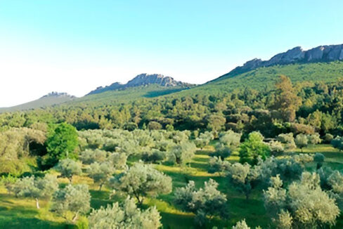 Excepcional-Finca-de-Alcornoques-en-el-Entorno-Rural-de-Valencia-de-Alcántara13