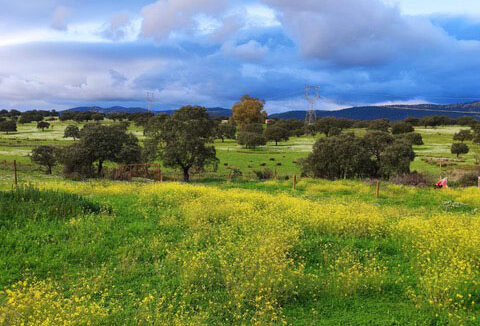 Casa-con-encanto-en-plena-naturaleza-junto-al-embalse-de-Orellana20