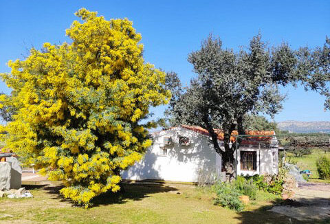 Casa-con-encanto-en-plena-naturaleza-junto-al-embalse-de-Orellana21