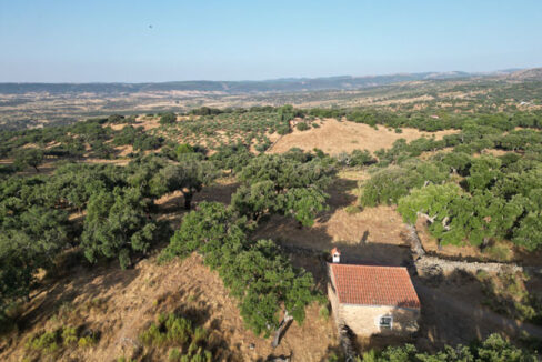 Finca-con-vistas-en-san-Vicente-de-Alcántara01