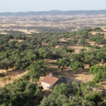 Finca-con-vistas-en-san-Vicente-de-Alcántara03