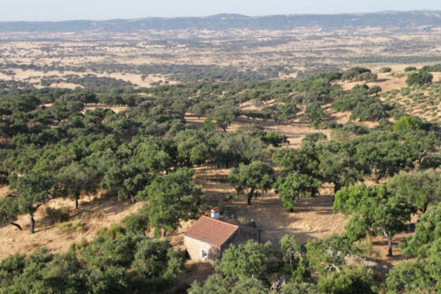 Finca-con-vistas-en-san-Vicente-de-Alcántara03