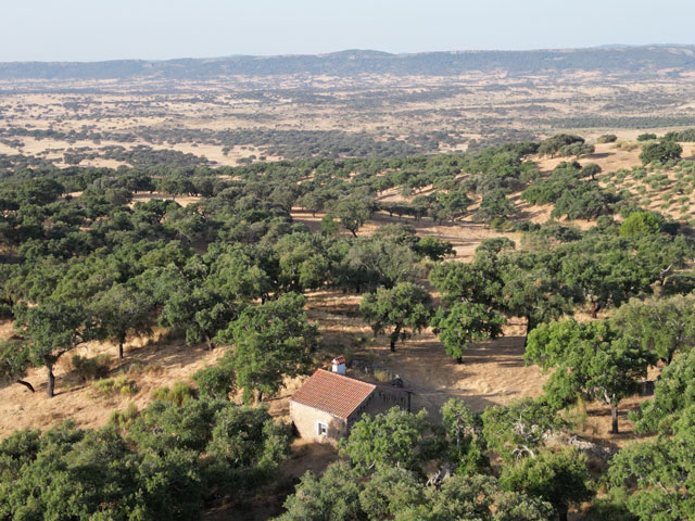 Finca-con-vistas-en-san-Vicente-de-Alcántara03