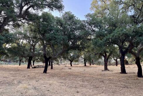 Finca-con-vistas-en-san-Vicente-de-Alcántara06