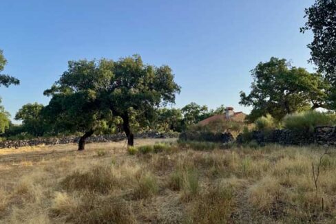Finca-con-vistas-en-san-Vicente-de-Alcántara07