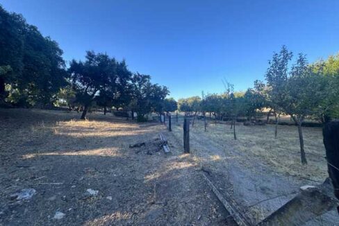 Tu-refugio-en-el-campo-en-san-vicente-de-alcántara02