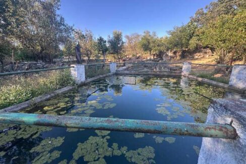 Tu-refugio-en-el-campo-en-san-vicente-de-alcántara03