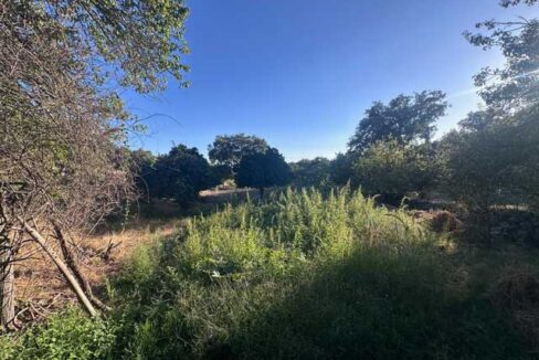 Tu-refugio-en-el-campo-en-san-vicente-de-alcántara04