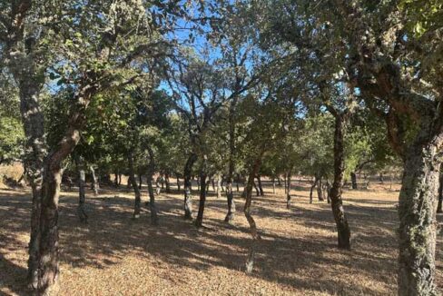 Tu-refugio-en-el-campo-en-san-vicente-de-alcántara13