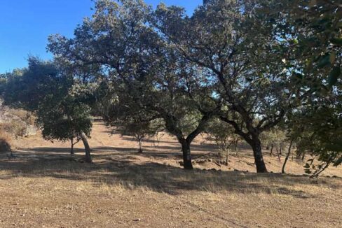 Tu-refugio-en-el-campo-en-san-vicente-de-alcántara14
