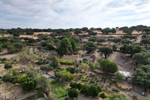 Tu-refugio-en-el-campo-en-san-vicente-de-alcántara18
