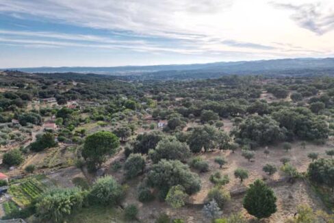 finca-en-san-vicente-de-alcantara-para-entrar-a-vivir03