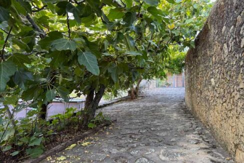 finca-en-san-vicente-de-alcantara-para-entrar-a-vivir11