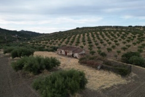 construye-tu-hogar-en-este-olivar-de-valencia-de-alcantara03