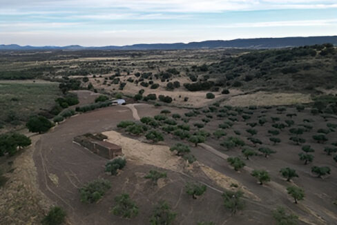 construye-tu-hogar-en-este-olivar-de-valencia-de-alcantara08