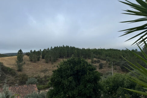 finca-de-7-ha-en-alcorneo13