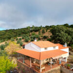 finca-de-7-ha-en-alcorneo17
