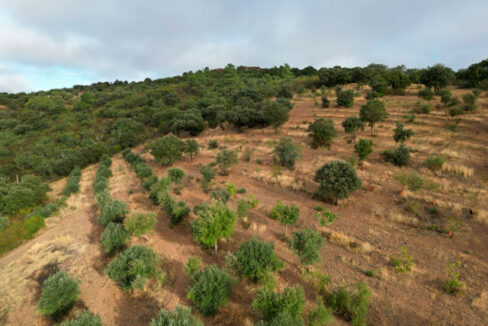 finca-de-7-ha-en-alcorneo19