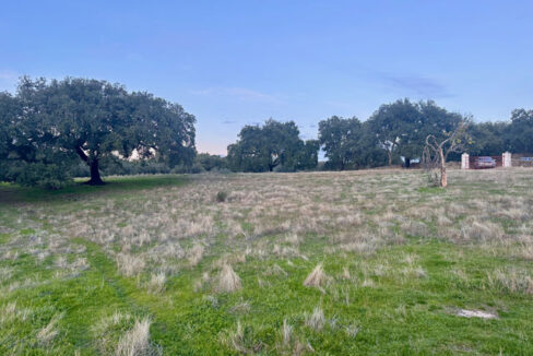 finca-con-posibilidades-y-buen-acceso-en-san-vicente-de-alcantara4