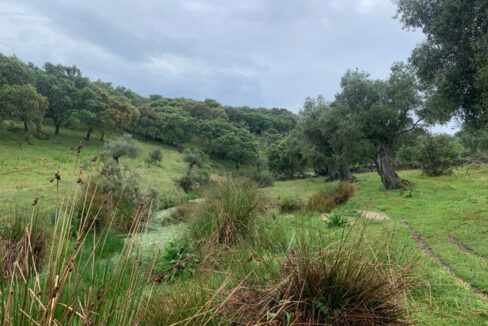 finca-de-2-ha-con-permiso-de-construccion-en-san-vicente-de-alcantara01