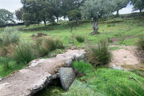 finca-de-2-ha-con-permiso-de-construccion-en-san-vicente-de-alcantara02