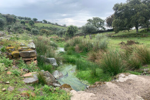 finca-de-2-ha-con-permiso-de-construccion-en-san-vicente-de-alcantara03