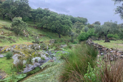 finca-de-2-ha-con-permiso-de-construccion-en-san-vicente-de-alcantara04